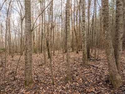 Mississippi Land for Sale Montgomery County - image 27