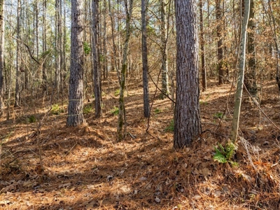 Mississippi Land for Sale Montgomery County - image 19