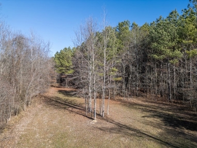 Mississippi Land for Sale Montgomery County - image 6