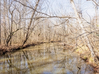 Mississippi Land for Sale Montgomery County - image 18
