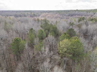 Mississippi Land for Sale Montgomery County - image 34