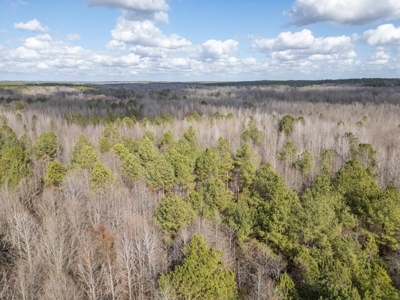 Mississippi Land for Sale Montgomery County - image 29