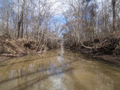 Mississippi Land for Sale Montgomery County - image 12