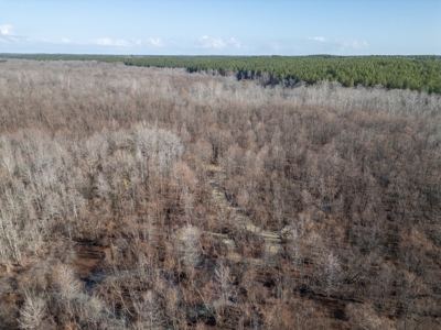 Mississippi Land for Sale Montgomery County - image 1