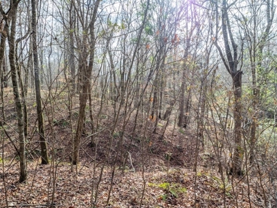Mississippi Land for Sale Montgomery County - image 47