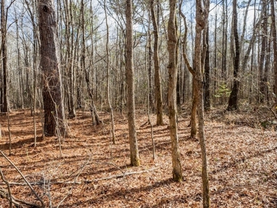 Mississippi Land for Sale Montgomery County - image 41