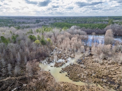 Mississippi Land for Sale Montgomery County - image 32