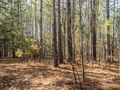 Mississippi Land for Sale Montgomery County - image 46