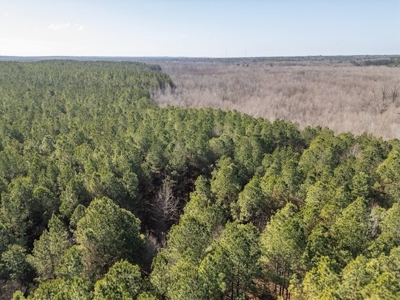 Mississippi Land for Sale Montgomery County - image 8