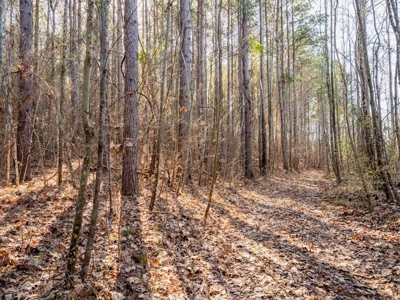 Mississippi Land for Sale Montgomery County - image 17