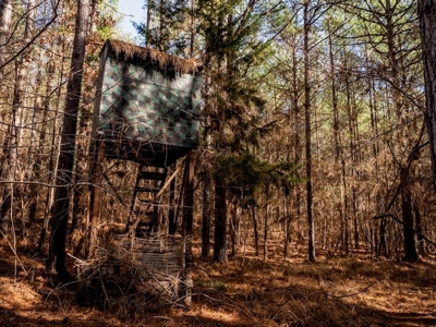Mississippi Land for Sale Montgomery County - image 25