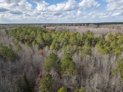 Mississippi Land for Sale Montgomery County - image 31