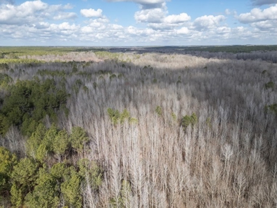 Mississippi Land for Sale Montgomery County - image 30