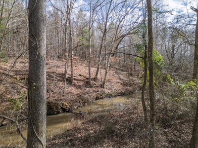 Mississippi Land for Sale Montgomery County - image 36