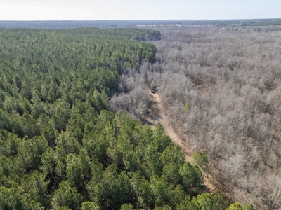 Mississippi Land for Sale Montgomery County - image 9