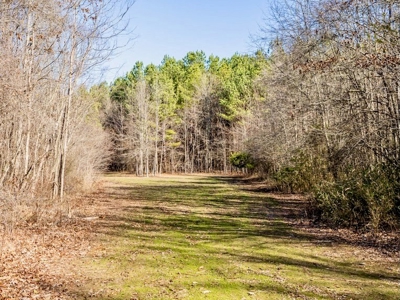 Mississippi Land for Sale Montgomery County - image 16