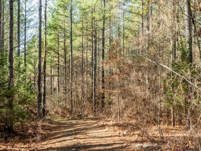 Mississippi Land for Sale Montgomery County - image 14