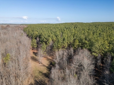 Mississippi Land for Sale Montgomery County - image 7