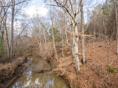 Mississippi Land for Sale Montgomery County - image 45