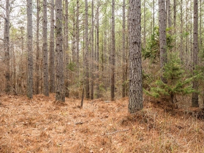 Mississippi Land for Sale Montgomery County - image 28