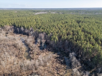 Mississippi Land for Sale Montgomery County - image 2