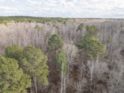 Mississippi Land for Sale Montgomery County - image 35