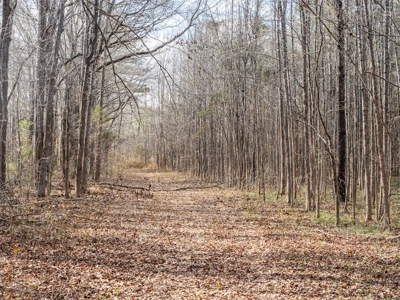 Mississippi Land for Sale Montgomery County - image 40