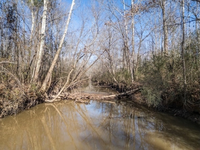Mississippi Land for Sale Montgomery County - image 3