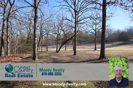 Golf Course Frontage With Building Site Horseshoe Bend Ar - image 16