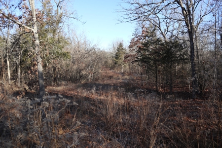 Golf Course Frontage With Building Site Horseshoe Bend Ar - image 3