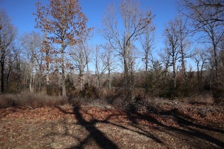 Golf Course Frontage With Building Site Horseshoe Bend Ar - image 8