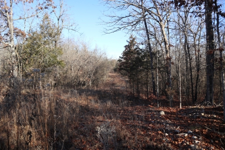 Golf Course Frontage With Building Site Horseshoe Bend Ar - image 4