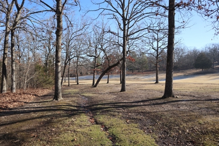 Golf Course Frontage With Building Site Horseshoe Bend Ar - image 6