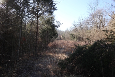 Golf Course Frontage With Building Site Horseshoe Bend Ar - image 14