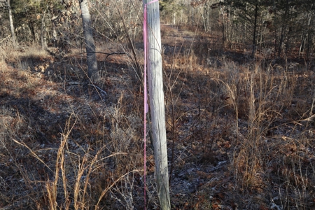 Golf Course Frontage With Building Site Horseshoe Bend Ar - image 2