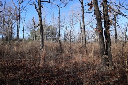 Golf Course Frontage With Building Site Horseshoe Bend Ar - image 5