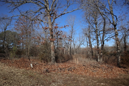 Golf Course Frontage With Building Site Horseshoe Bend Ar - image 7