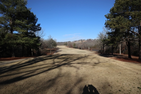 Golf Course Frontage With Building Site Horseshoe Bend Ar - image 11