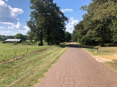 Ranches For Sale in Hallsville, Texas - image 2