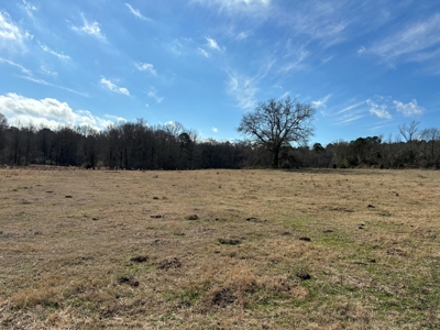 Ranches For Sale in Hallsville, Texas - image 5