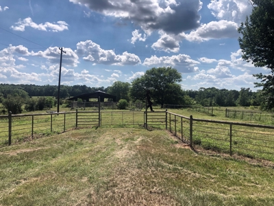 Ranches For Sale in Hallsville, Texas - image 3