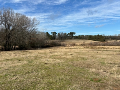 Ranches For Sale in Hallsville, Texas - image 6
