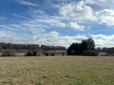 Ranches For Sale in Hallsville, Texas - image 4