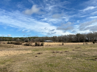 Ranches For Sale in Hallsville, Texas - image 8
