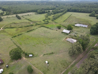 Ranches For Sale in Hallsville, Texas - image 10