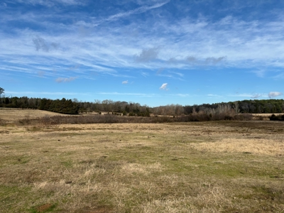 Ranches For Sale in Hallsville, Texas - image 7