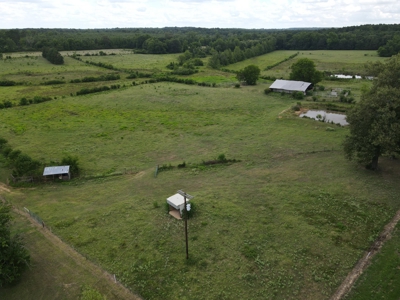 Ranches For Sale in Hallsville, Texas - image 9