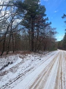 Wayne County Missouri Land Surrounded by National Forest - image 10