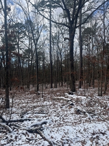 Wayne County Missouri Land Surrounded by National Forest - image 2