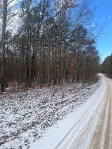 Wayne County Missouri Land Surrounded by National Forest - image 11